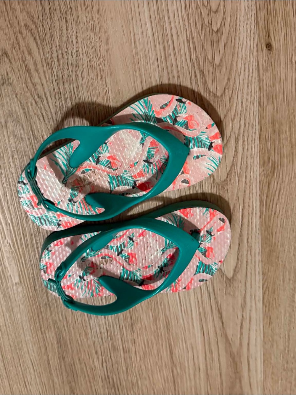 Teal Strap Flamingo Print Flip Flops